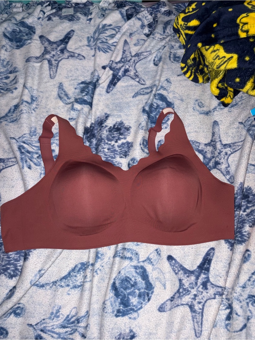 (2xl) bra